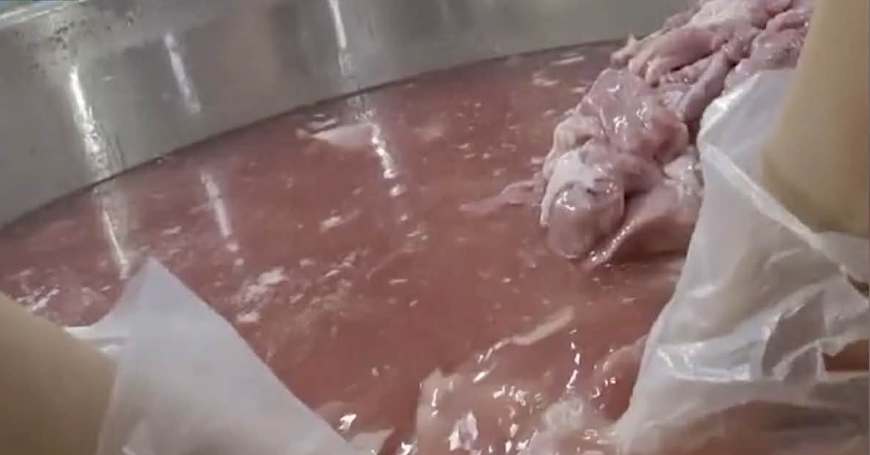 School lunch scandal in HCM City fuels public outcry, safety probe