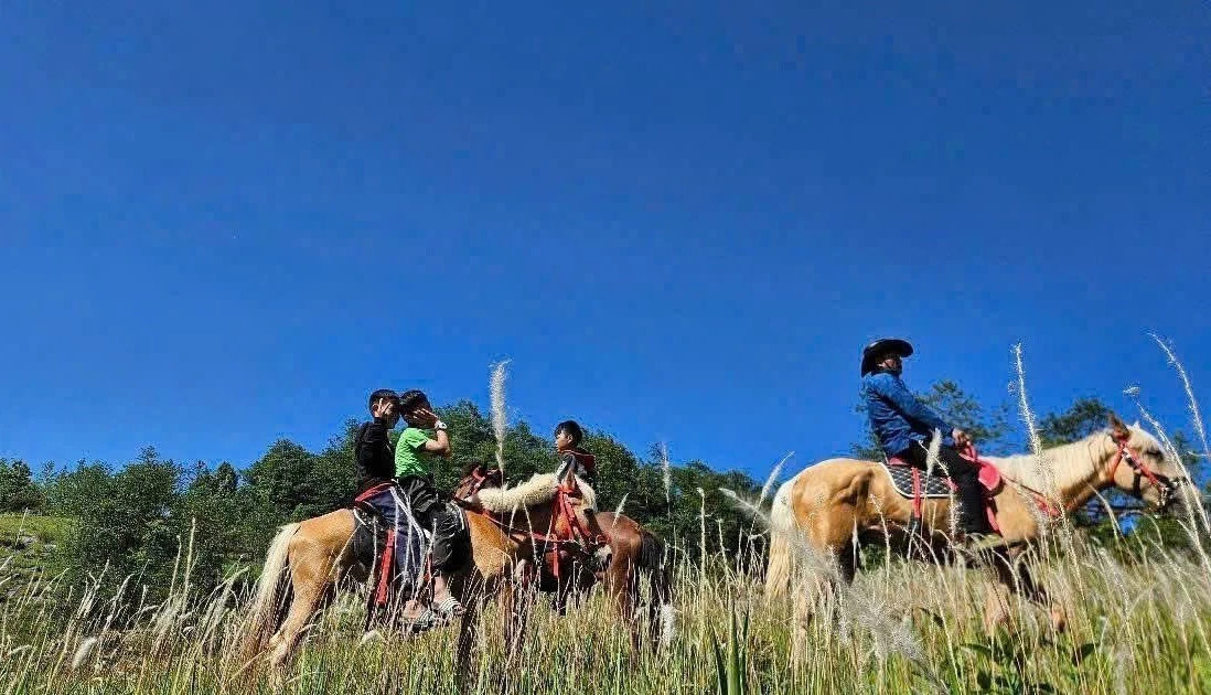 Horseback trekking debuts at Vietnam’s northernmost point