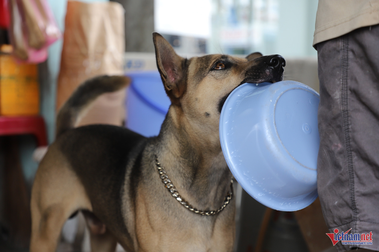 W-quán chuối chiên 3.JPG.jpg