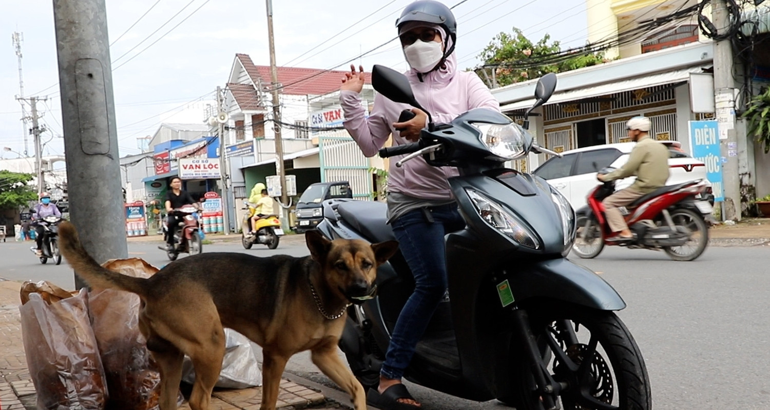 Viral banana fritter shop in Can Tho charms fans with furry cashier