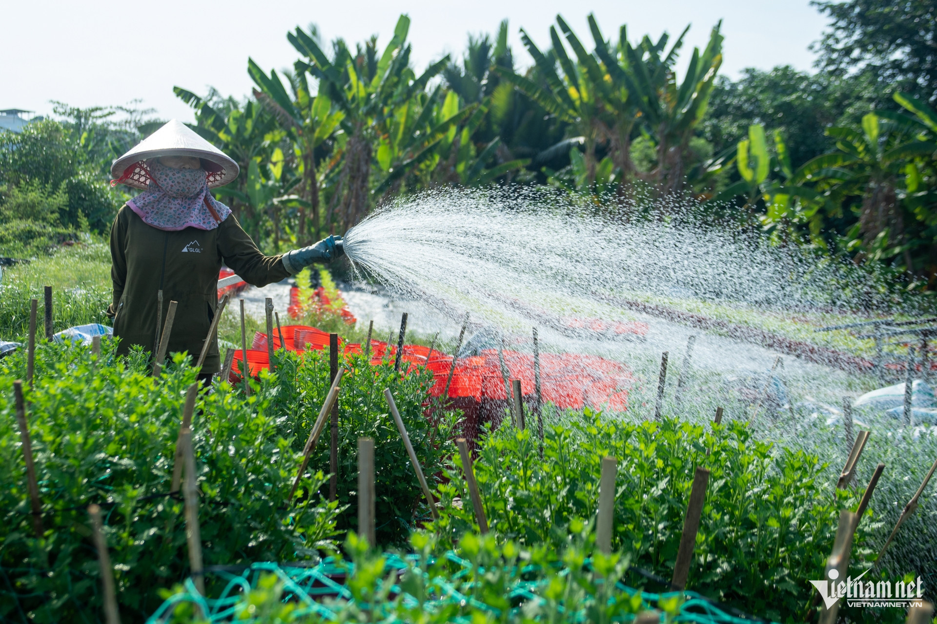 vn flower village3.jpg