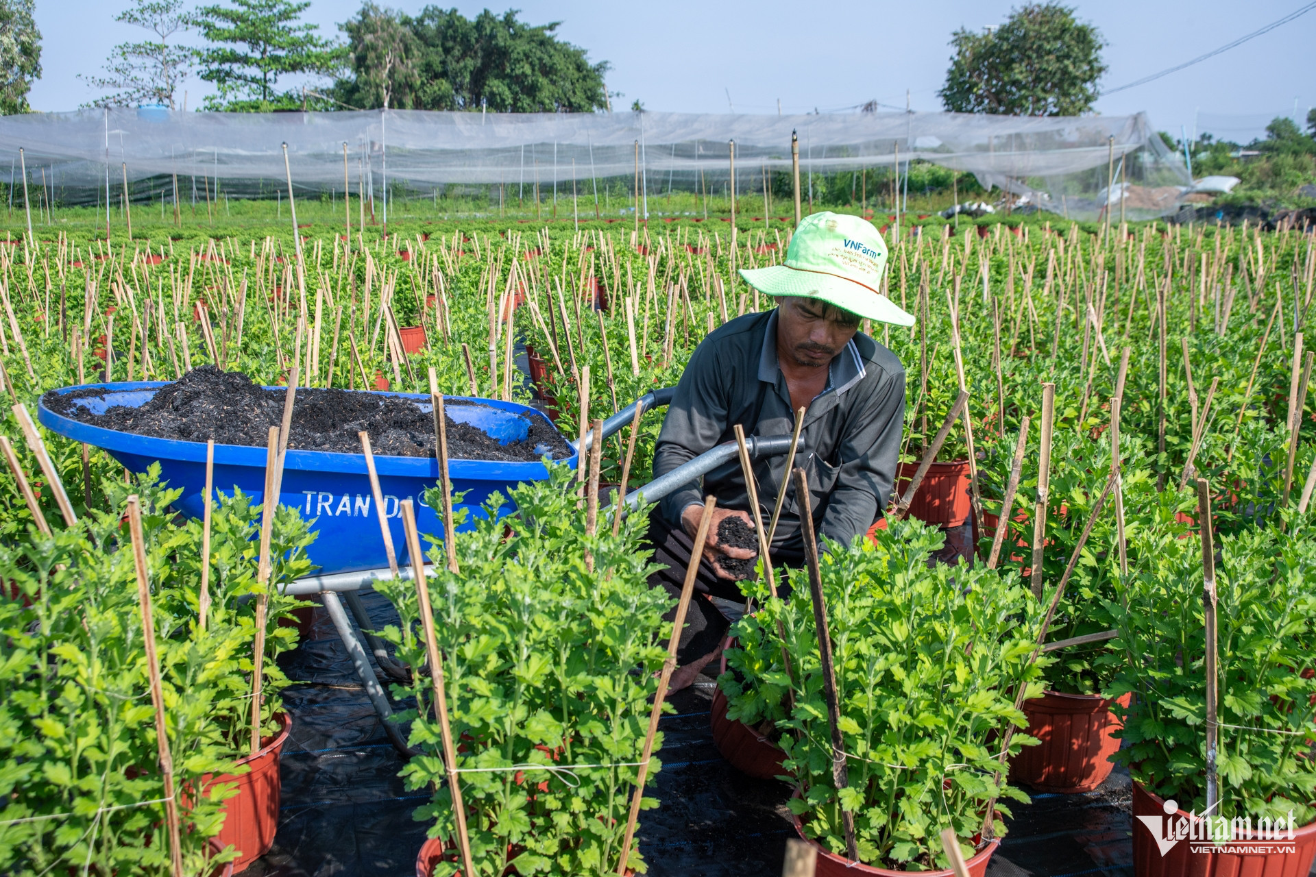 vn flower village5.jpg