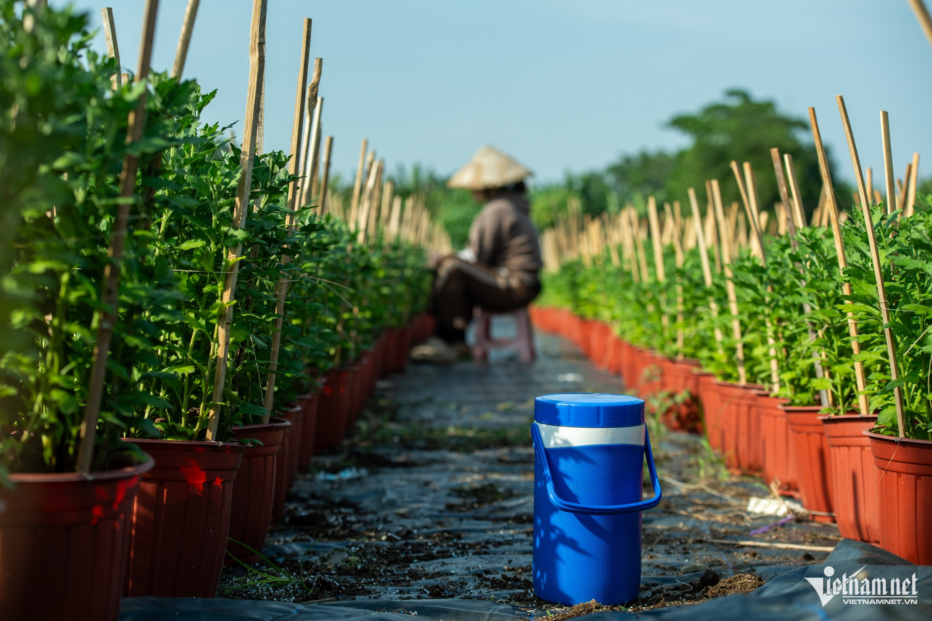 vn flower village6.jpg