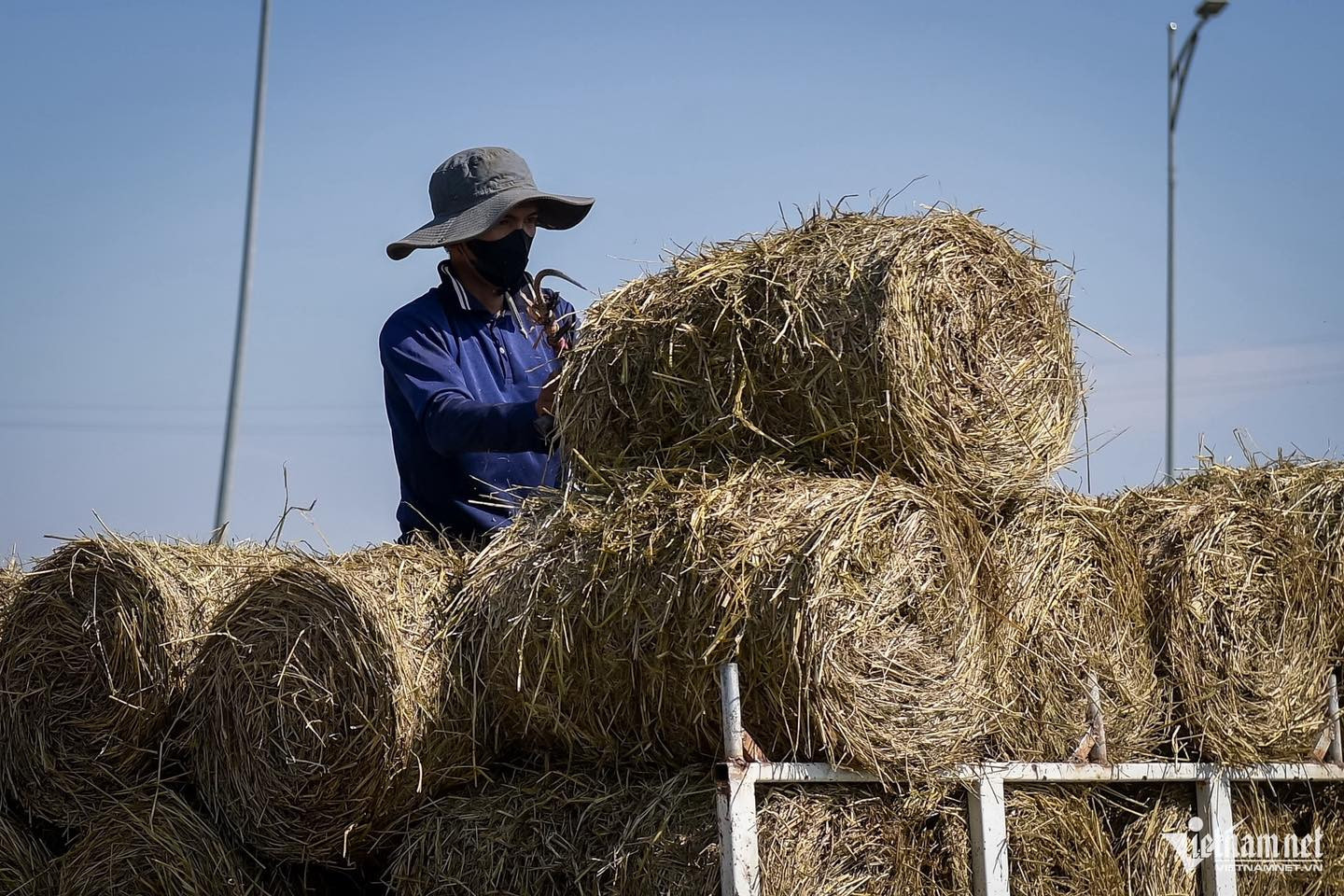 From farm waste to Amazon: Vietnamese eco firelighters take off abroad