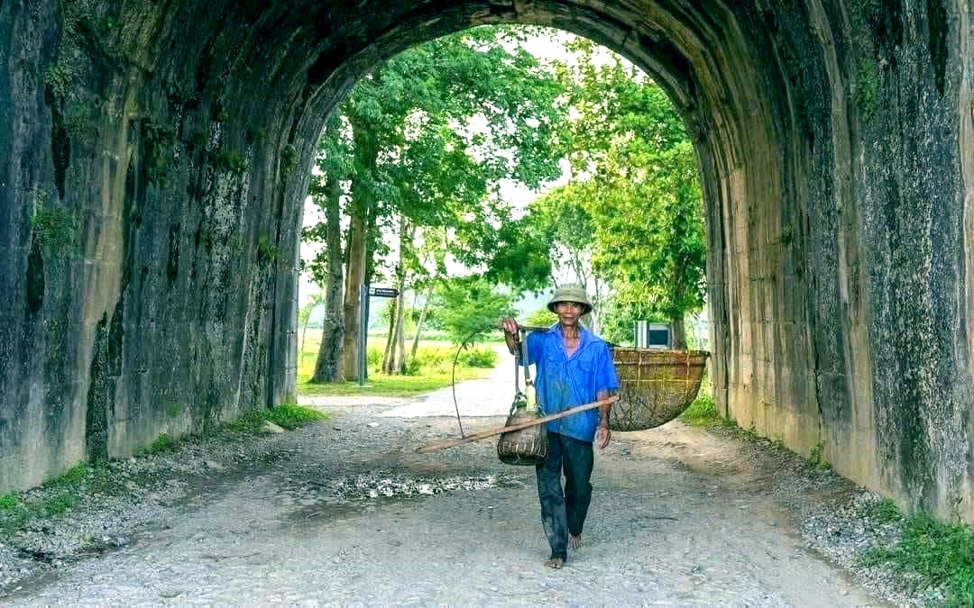 a4Du khách thích thú trải nghiệm xe trâu.jpg