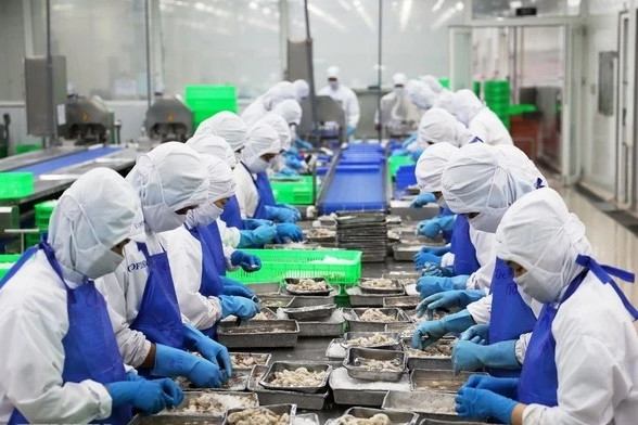 Vietnam’s aquatic exports hit new record, surpassing 11 billion USD