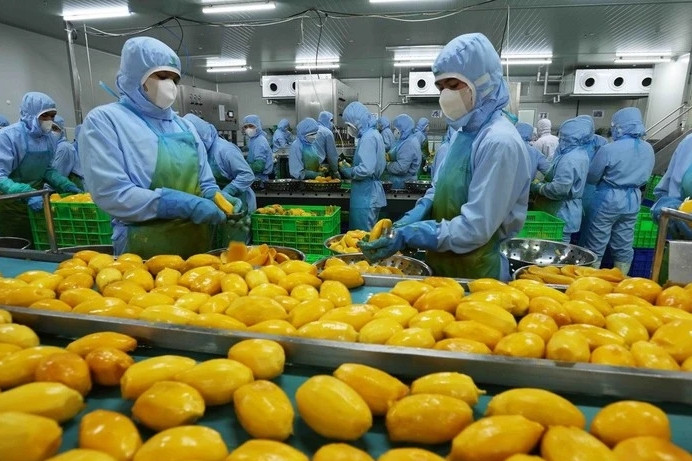 Vietnam’s fruit, vegetable sector poised to hit 10 billion USD in exports
