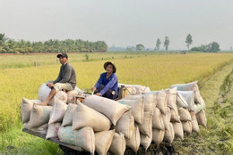 Vietnam targets 74 billion USD in agro-forestry-aquatic export earnings in 2026