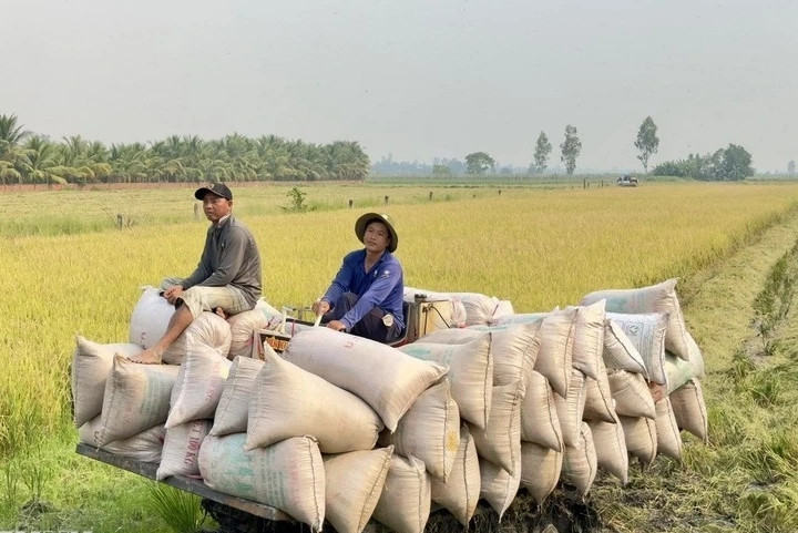 Vietnam targets 74 billion USD in agro-forestry-aquatic export earnings in 2026