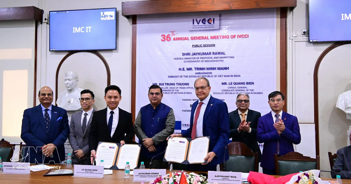Vietnam, India move to deepen business, e-commerce connectivity