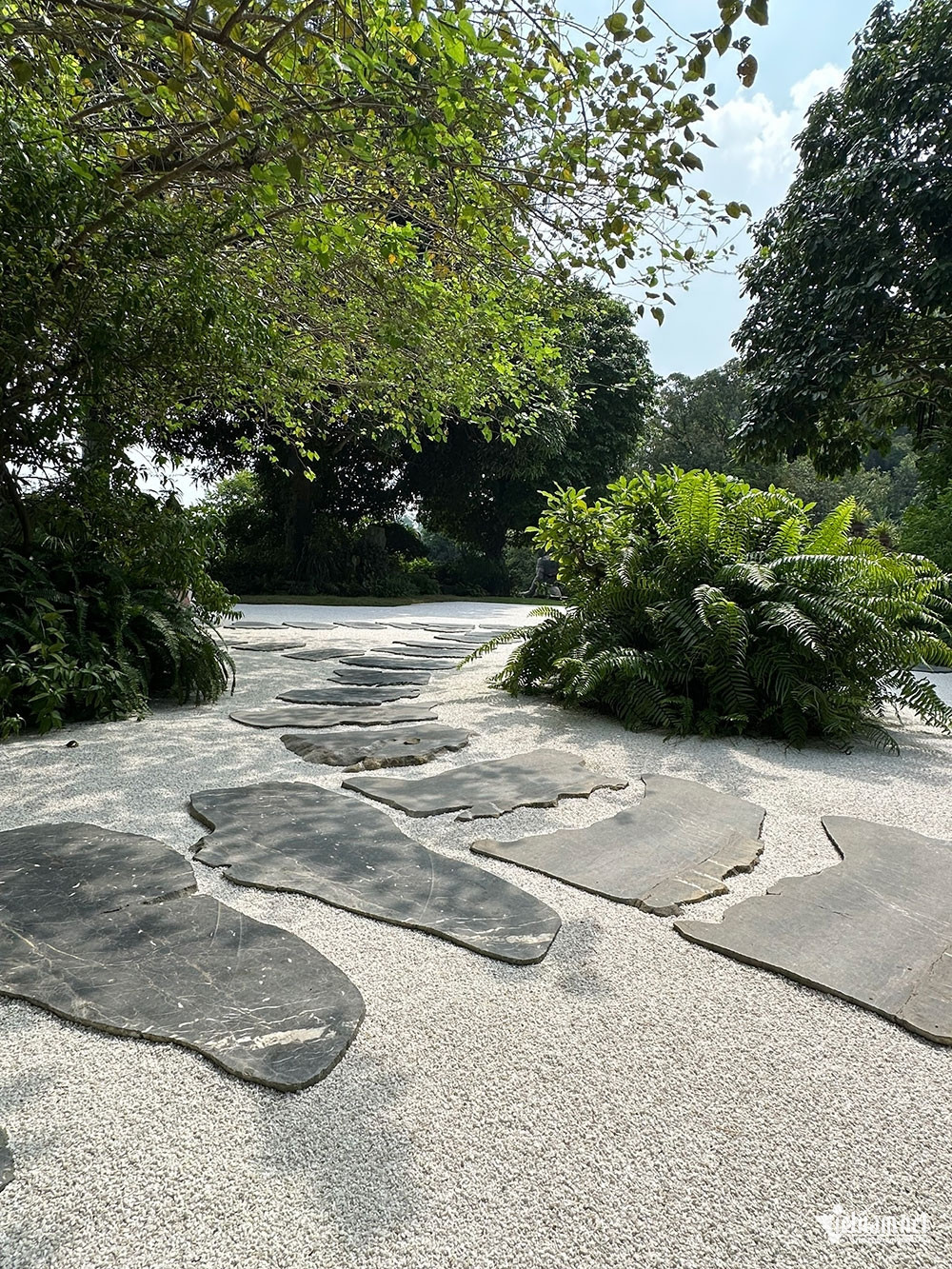 vn pagoda5.jpg