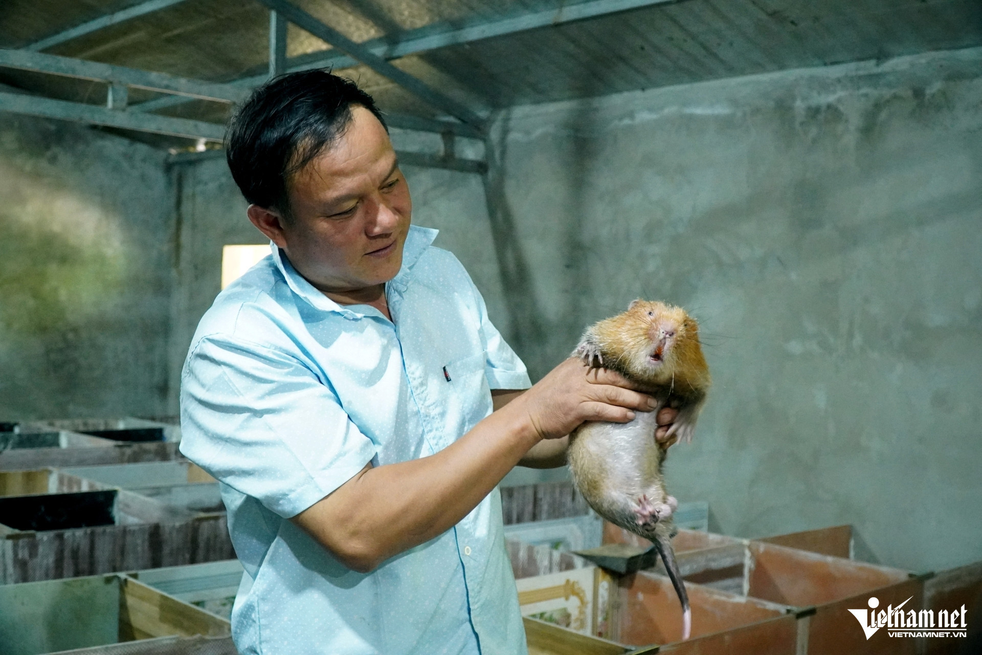 civet farming1.jpg