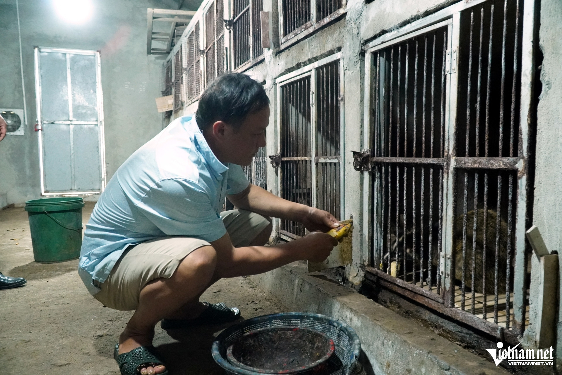 civet farming2.jpg