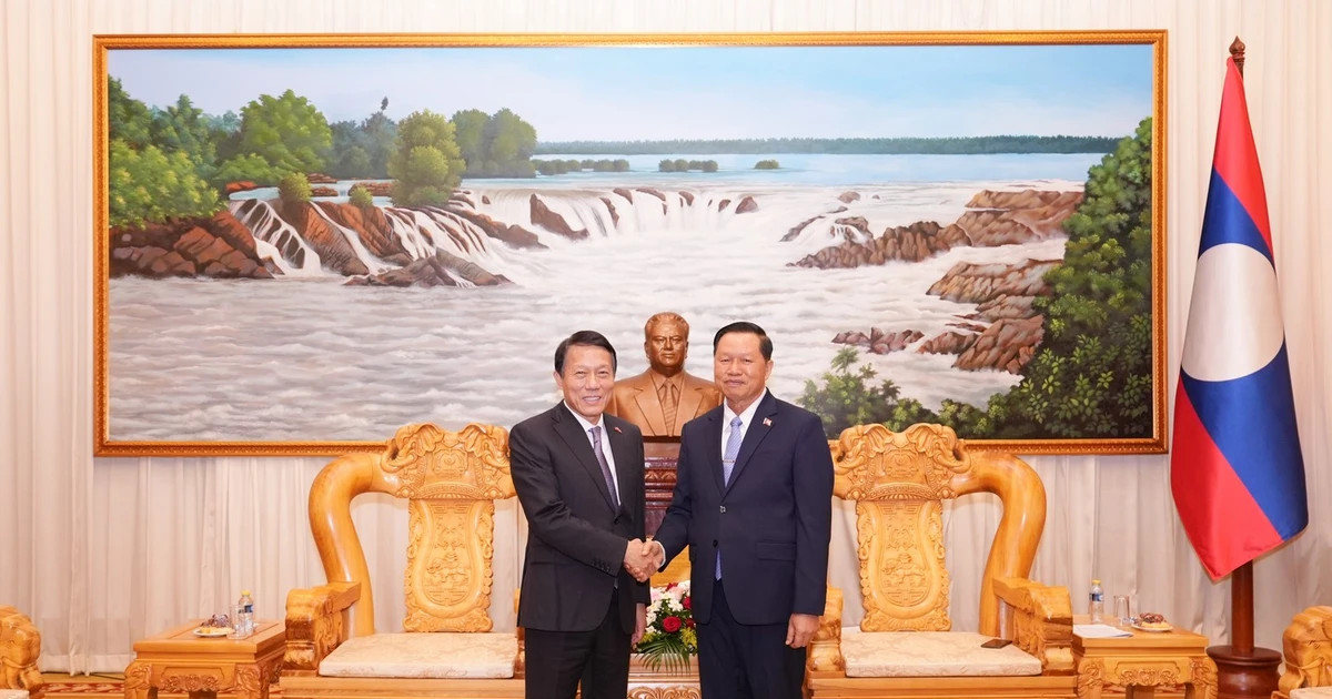 Vietnam, Laos strengthen cooperation in combating transnational crime