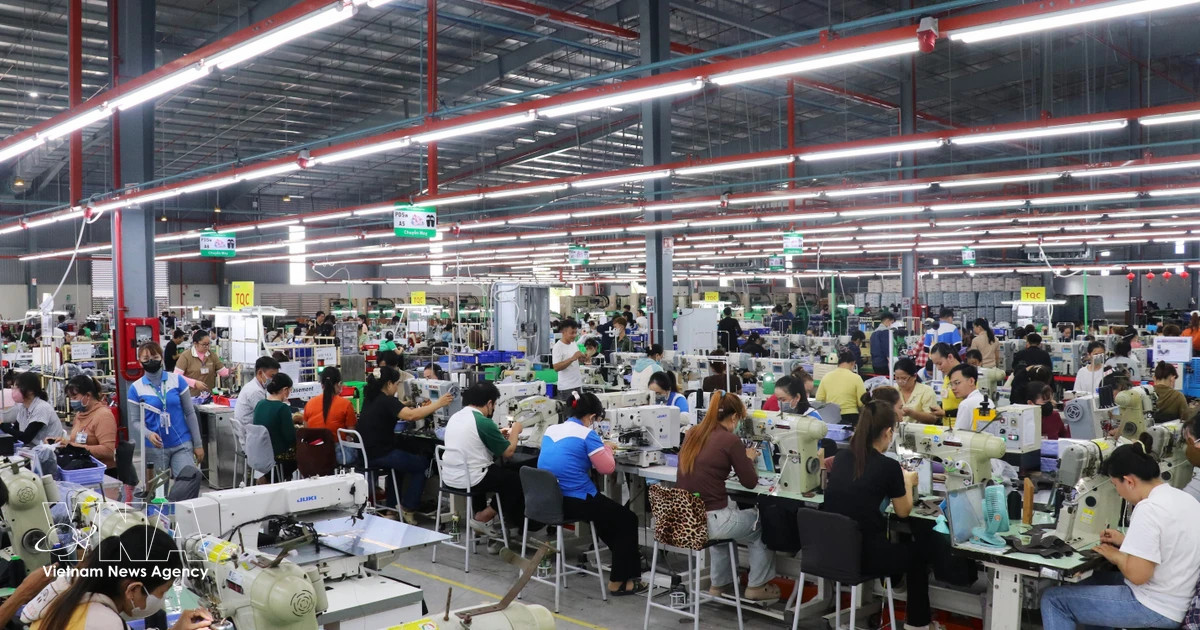 Vietnam’s supporting industries seek stronger domestic links