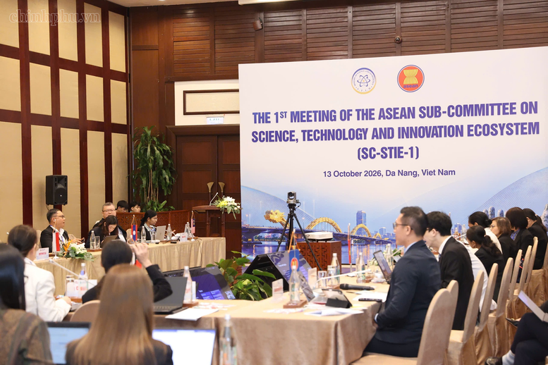 vn conference.png