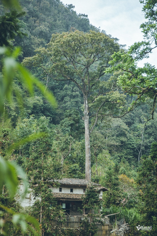 W-Lang dia nguc VVM_19.jpg