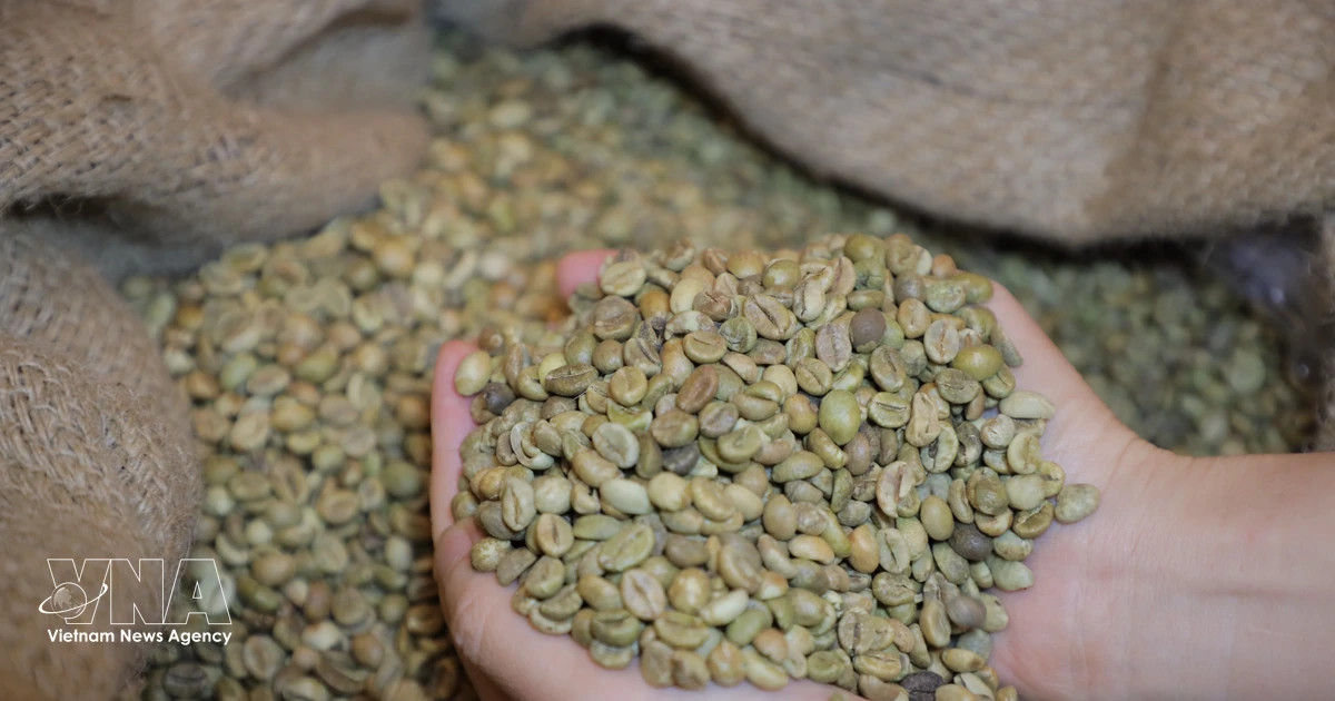 Vietnam seeks greater control over global agricultural value chains