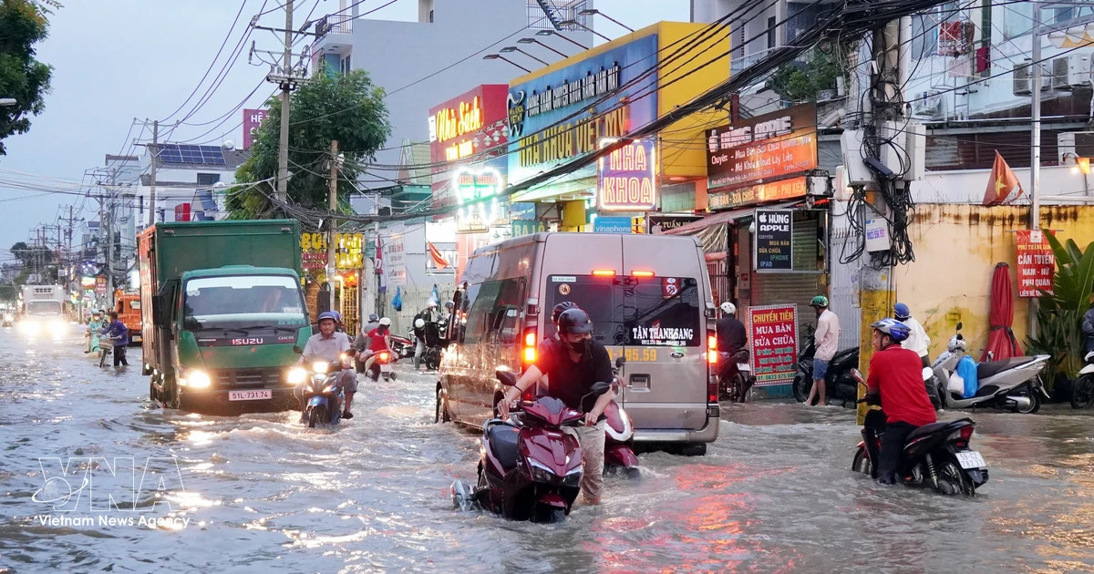 Ho Chi Minh City needs comprehensive solutions to tackle flooding: experts