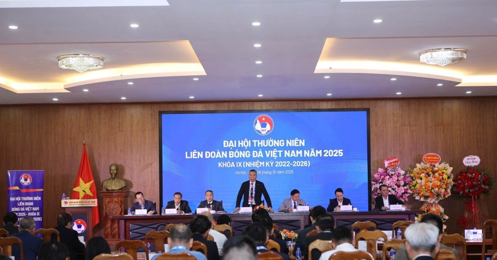 Three candidates vie for Vietnam Football Federation presidency