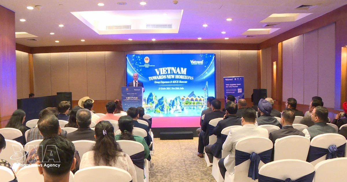 Vietnam courts Indian tourists as direct flights set to double