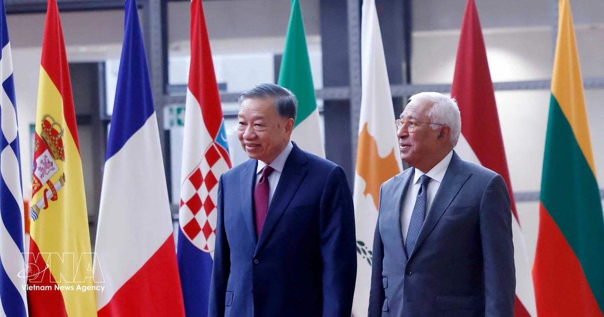 Vietnam, EU and Belgium seek deeper, practical cooperation