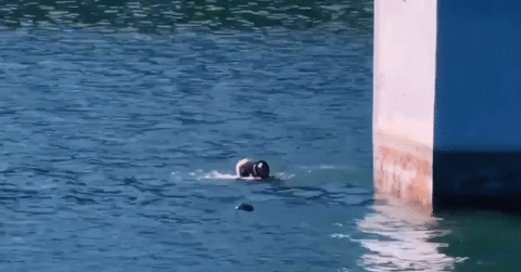 American tourist dives into lake to rescue woman in Vietnam's Da Lat