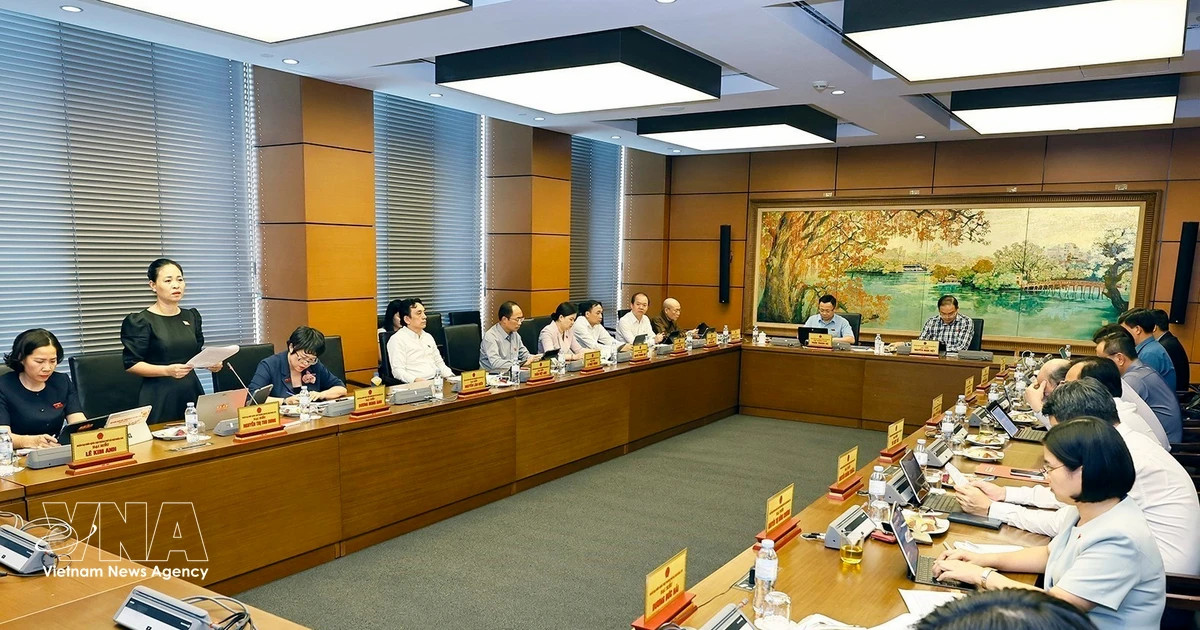 Top legislator warns against trading environment for growth in law revision