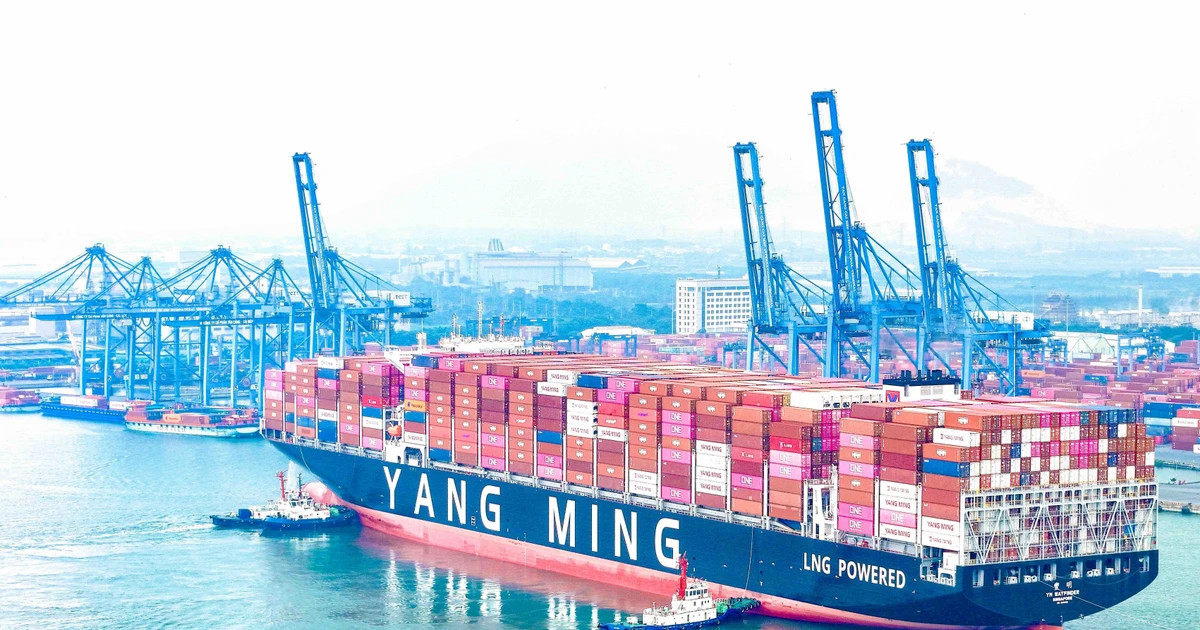 Yang Ming’s container ship makes first call at Tan Cang - Cai Mep terminal