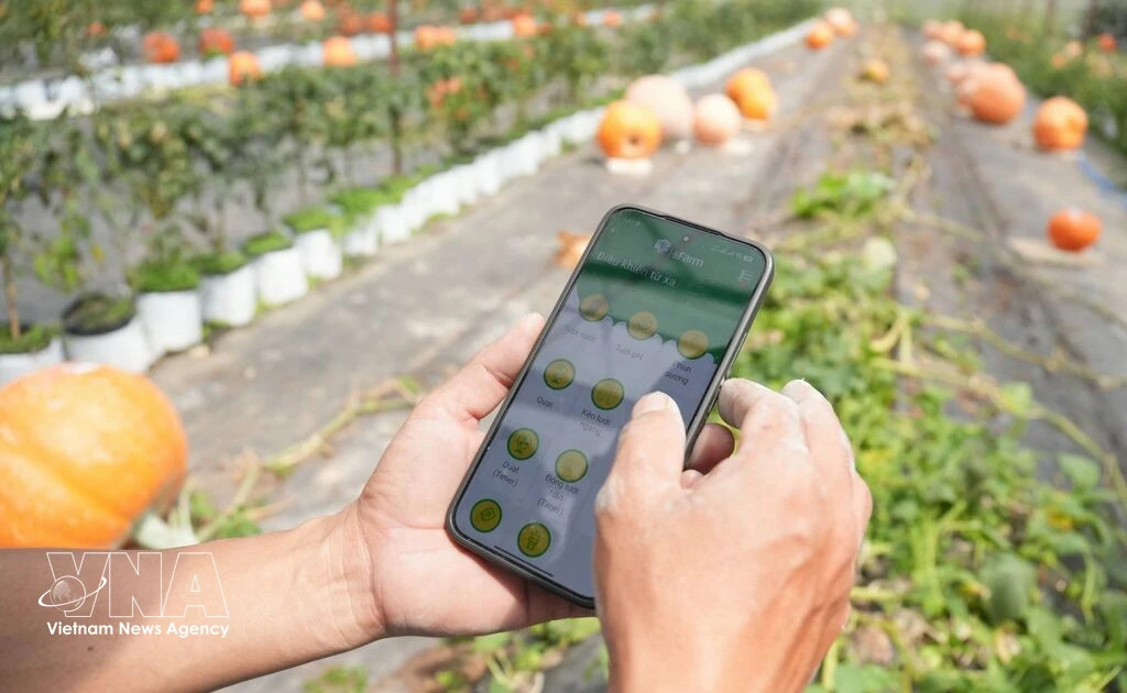 Vietnam steps up sci-tech application in agriculture