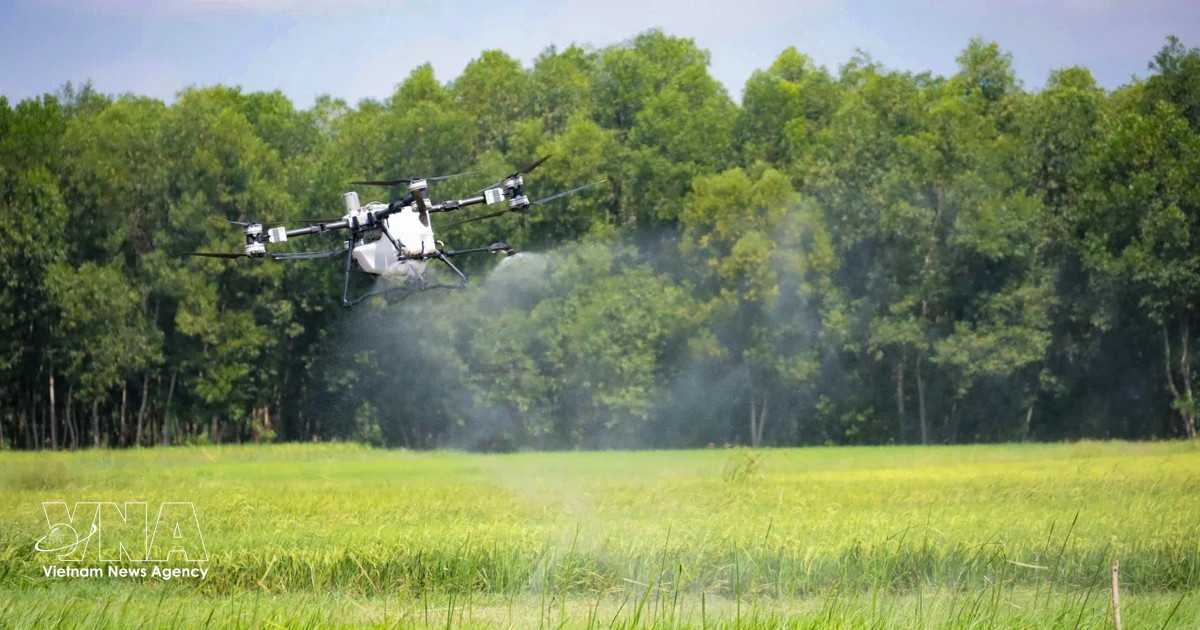 Vietnamese firms eye opportunities in $10 billion low-altitude economy