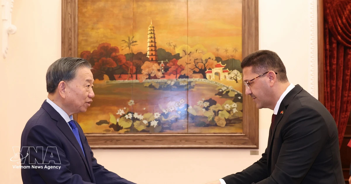 General Secretary and President To Lam receives newly accredited ambassadors