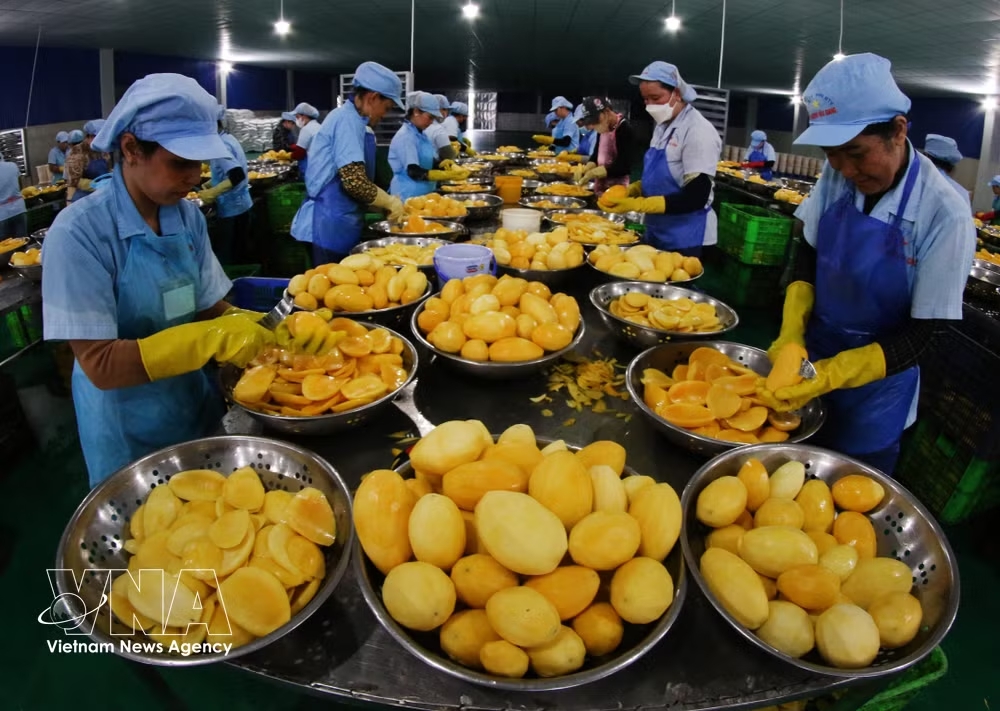 vnanet_potal-9-thang-nam-2026-tang-truong-kinh-te-cua-can-tho-dat-789-9063946-1.jpg