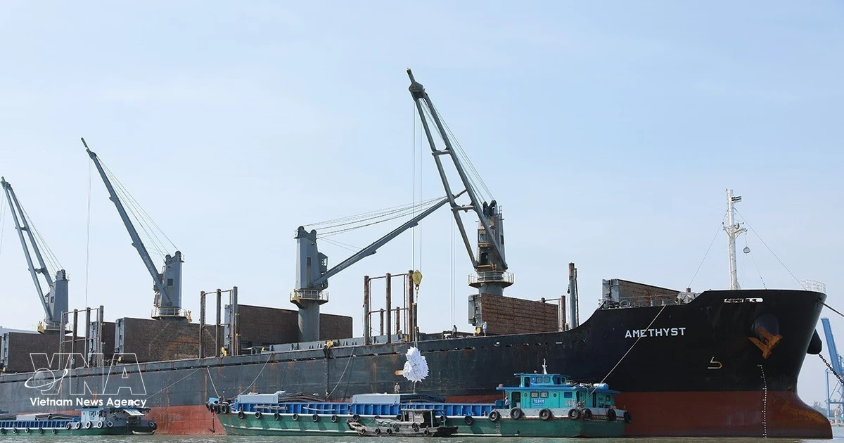 Vietnam posts trade surplus after nine months of deficit