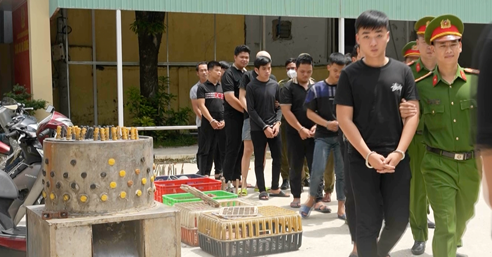 Ho Chi Minh City police bust ring accused of stealing 2,700 cats