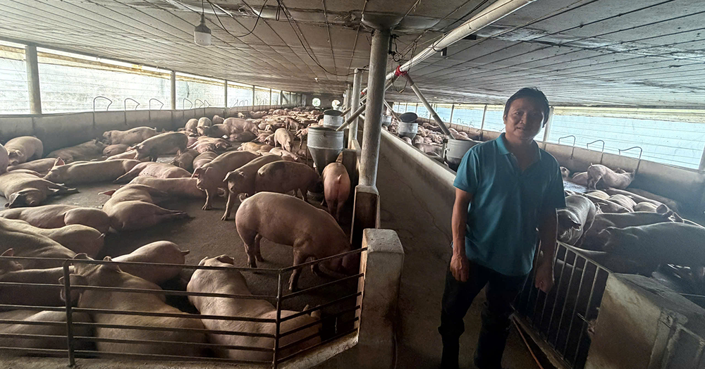 Vietnam busts banned-drug pork ring linked to 10,000 tons of meat