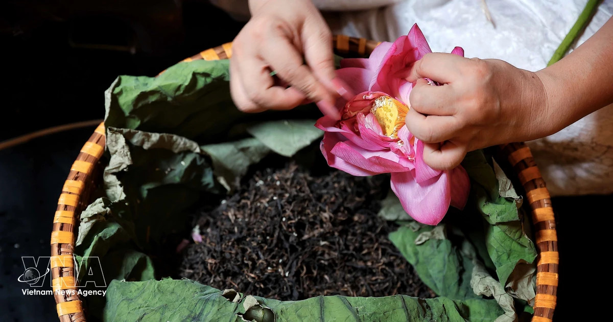 Hanoi to unveil beverage tourism map at 2026 festival