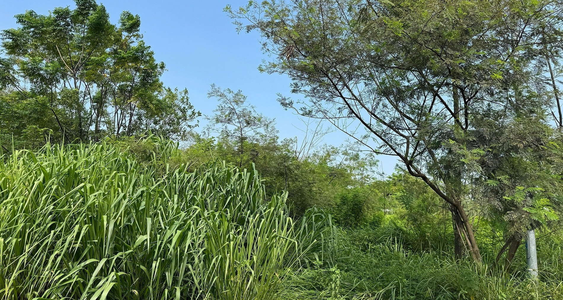 Vietnam proposes 0.2% tax on idle land to curb waste and speculation