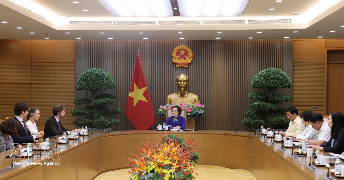 Deputy PM suggests studying long-term development of hospital ship model