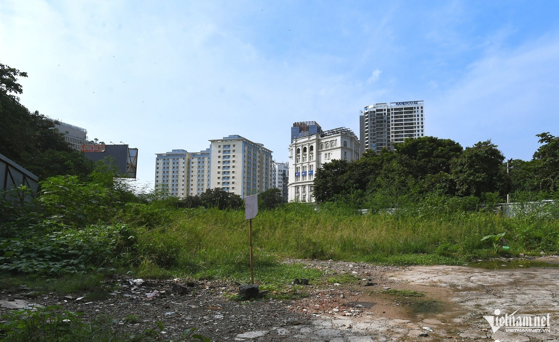 W-thue dat bo hoang.jpg