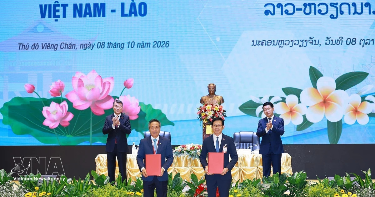 Vietnam, Laos strengthen “strategic cohesion” in economic sector