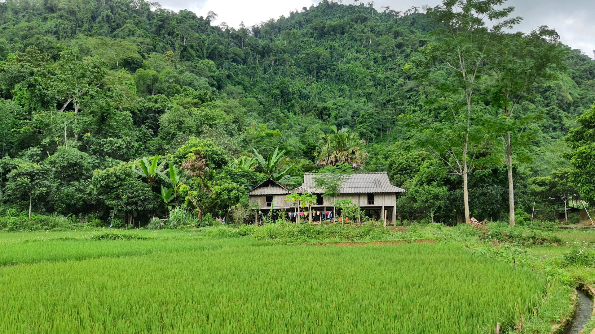 vn village1.jpg