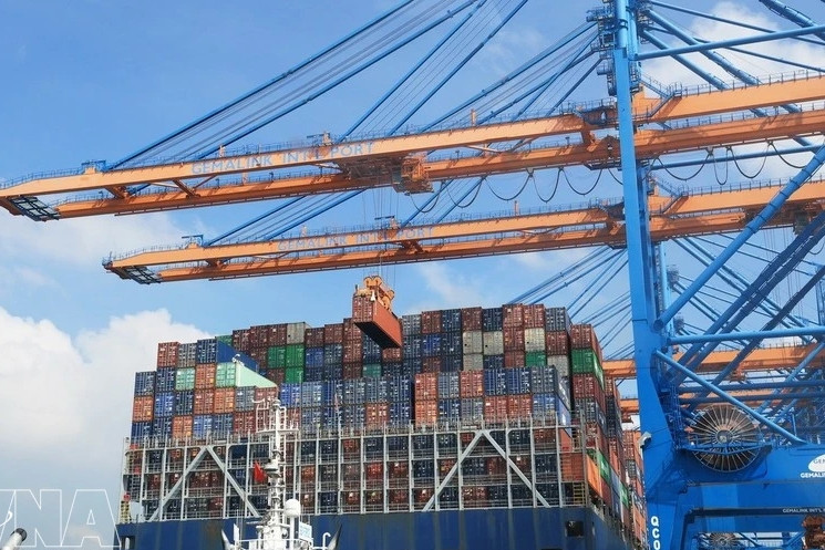 Container throughput at Vietnamese ports continues upward trend: MSB