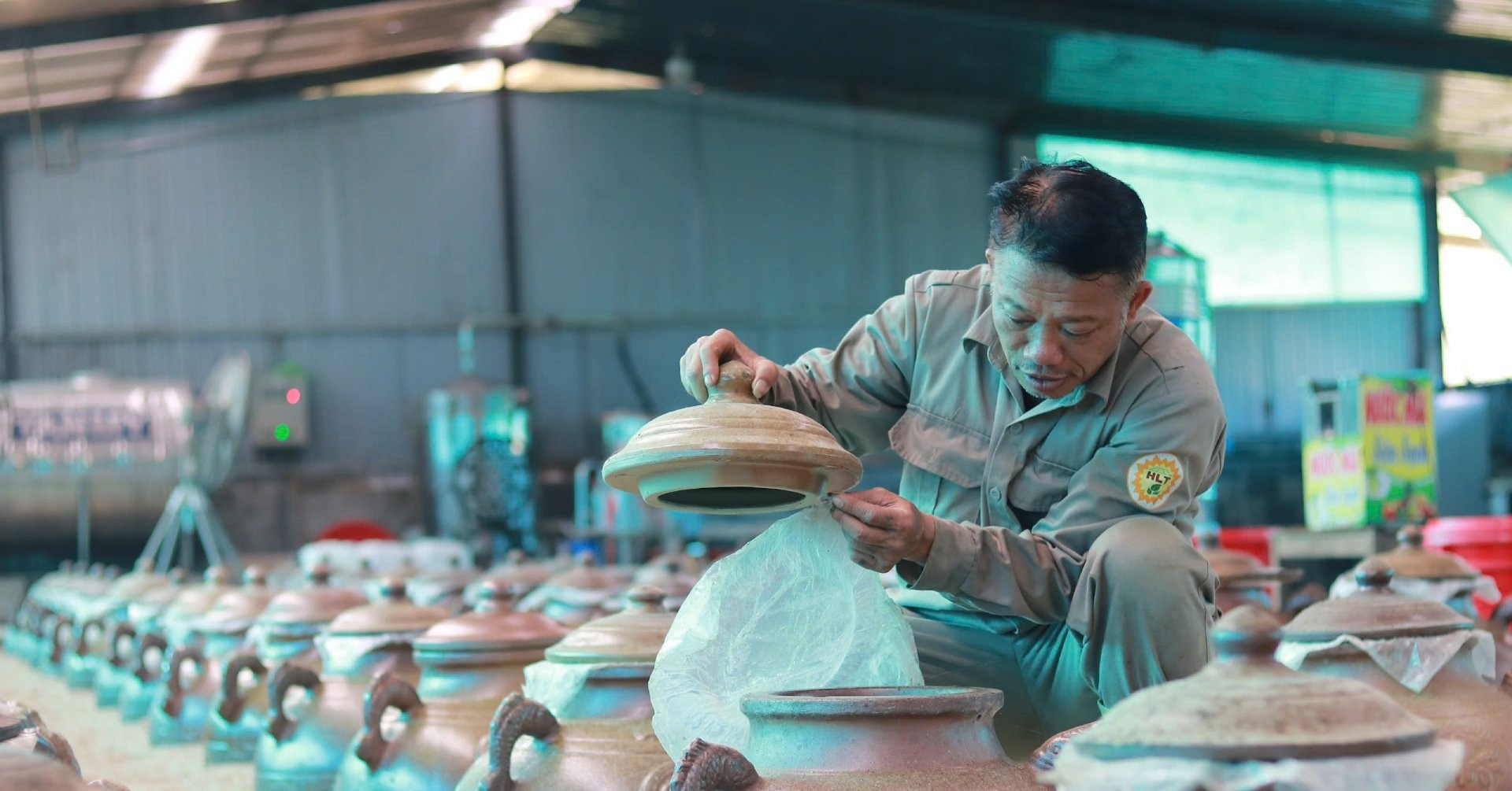 Farmer in Ha Tinh grows fortune beneath solar panels