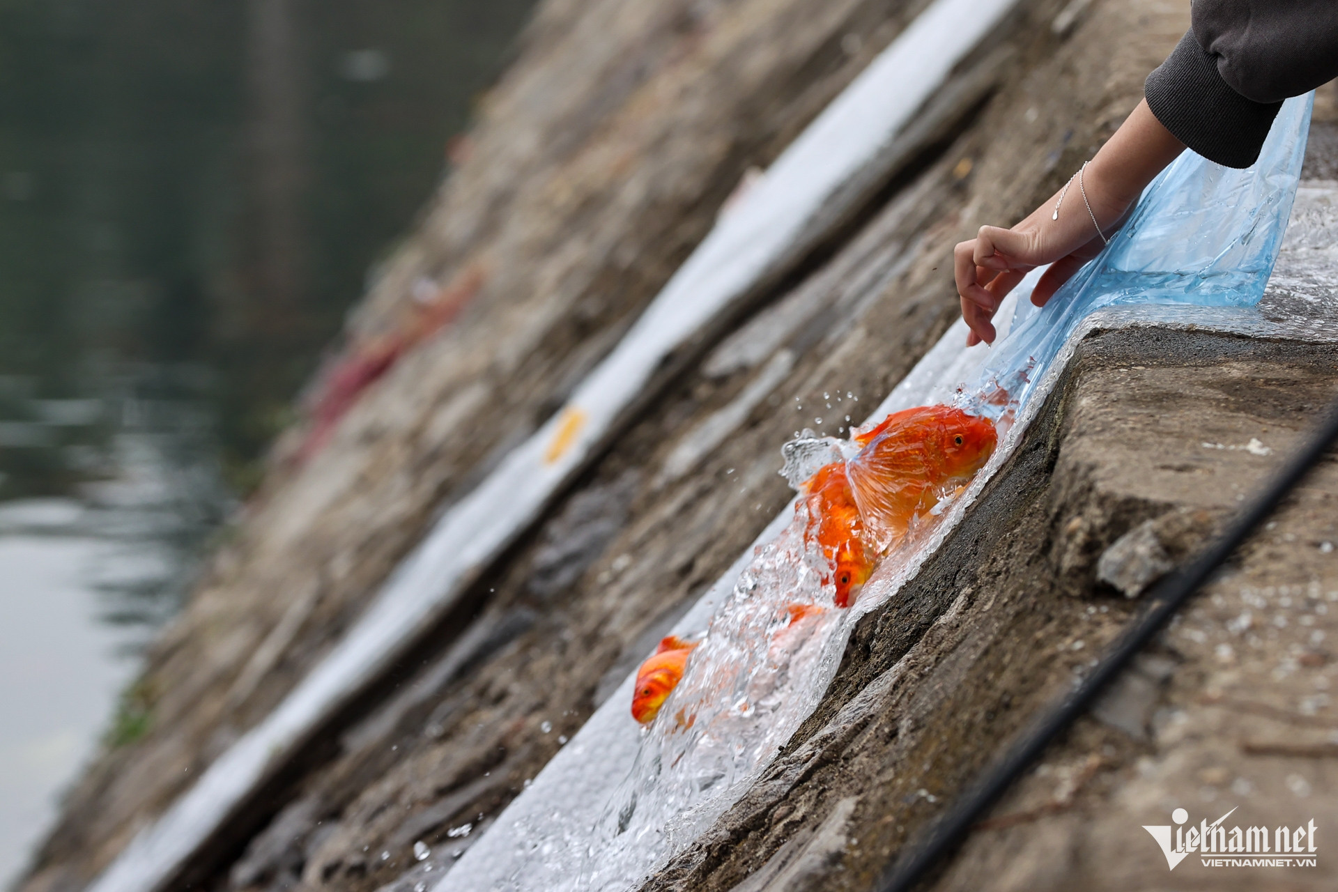 w 3 hai 6728 72727 600.jpg