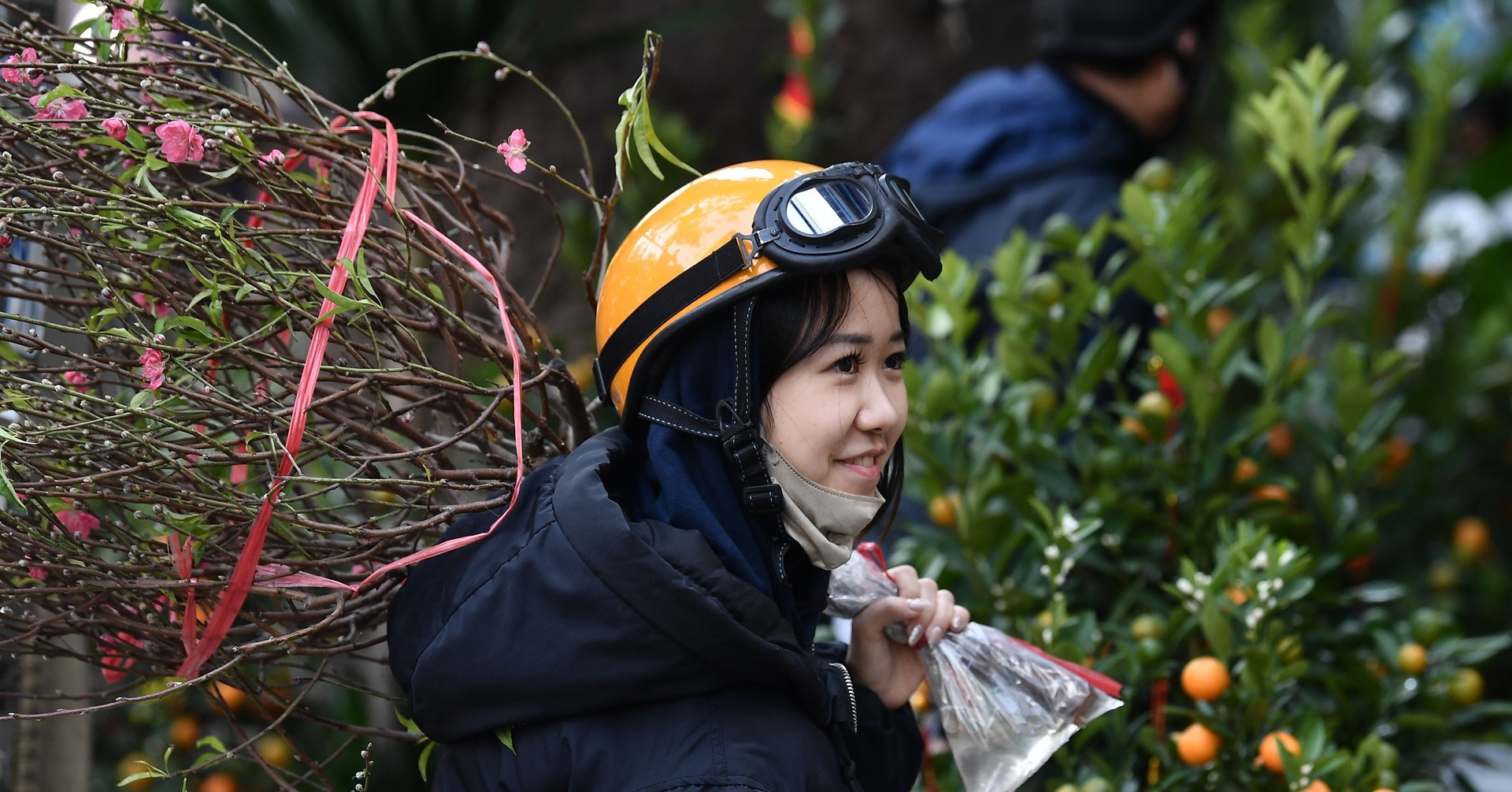Hanoi to enjoy sunny skies and mild days throughout Tet