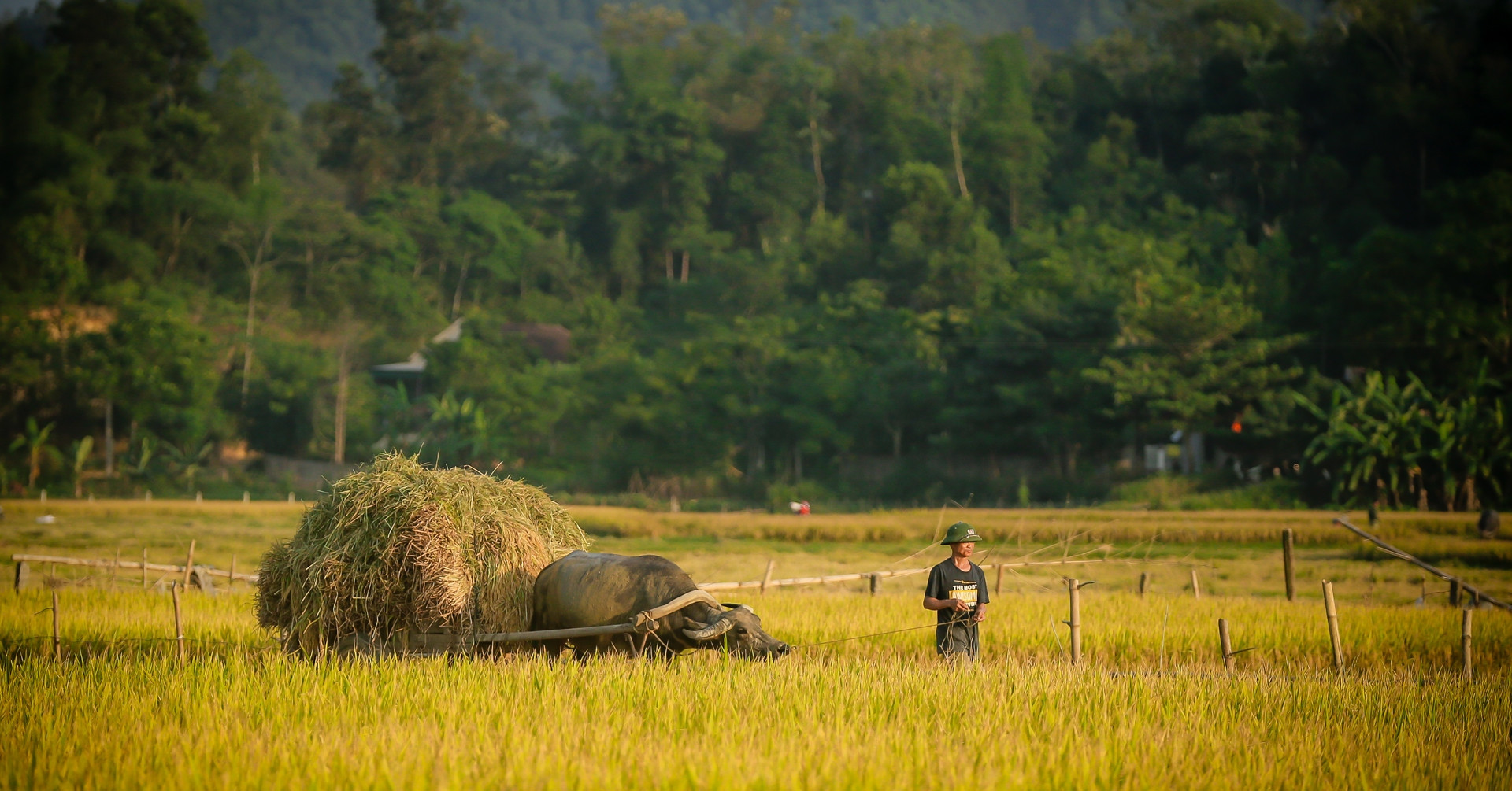Lending land to a family for living, owner endures lawsuit to reclaim land