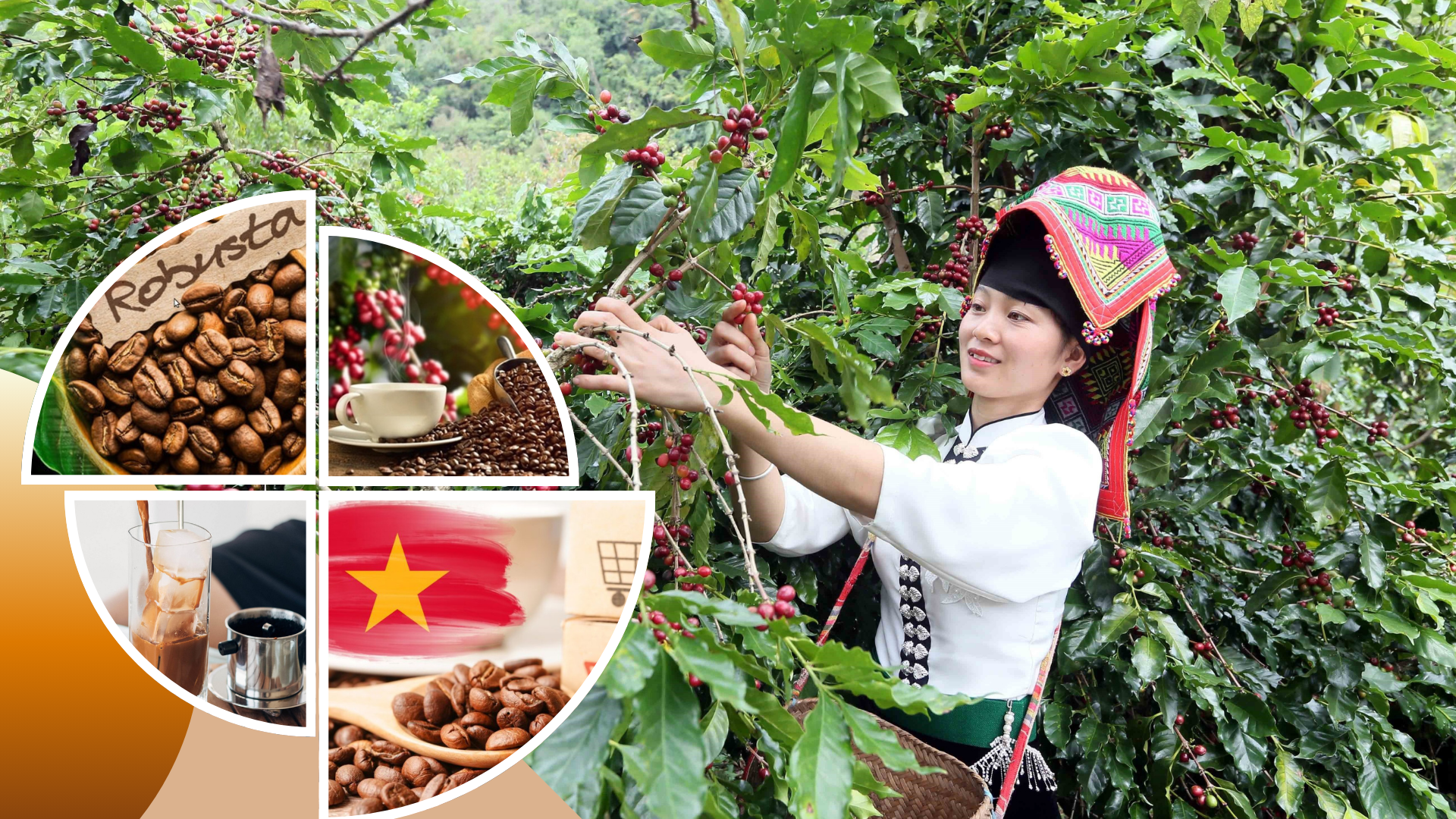 Thiết kế chưa có tên (1)