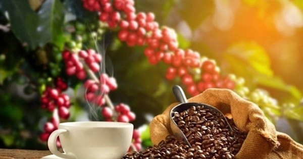 Vietnamese coffee in the value era: from production hub to global value partner