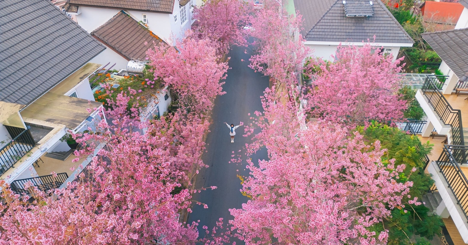 Four spring getaways in central Vietnam for Tet 2026